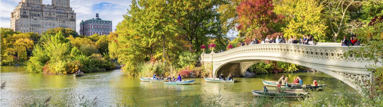 A small bridge going across a body of water in Central Park